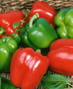 Keystone Resistant Giant