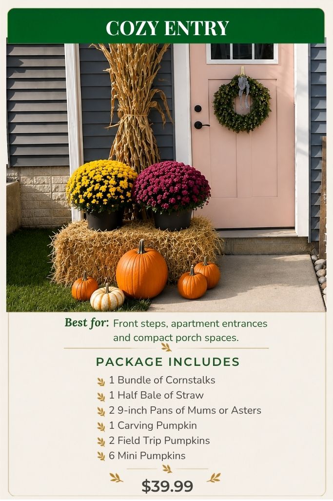 cozy welcome